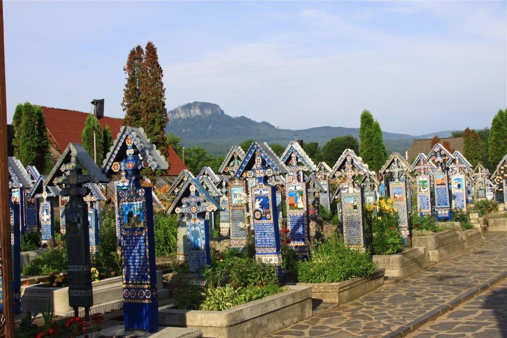 Pensiunea Ileana Săpînţa Esterno foto