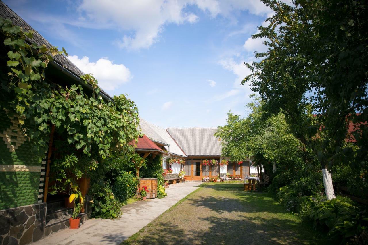 Pensiunea Ileana Săpînţa Esterno foto